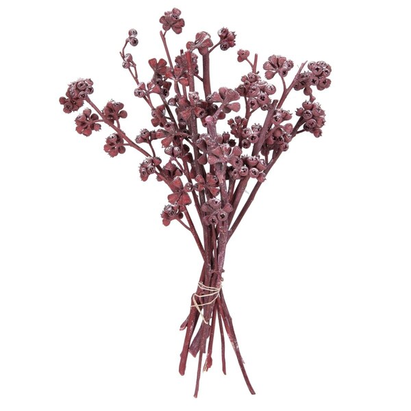 Dare2Decor 13 x 1-3 in. Frosted Branch, Red - 14 Piece DA2159216 - main